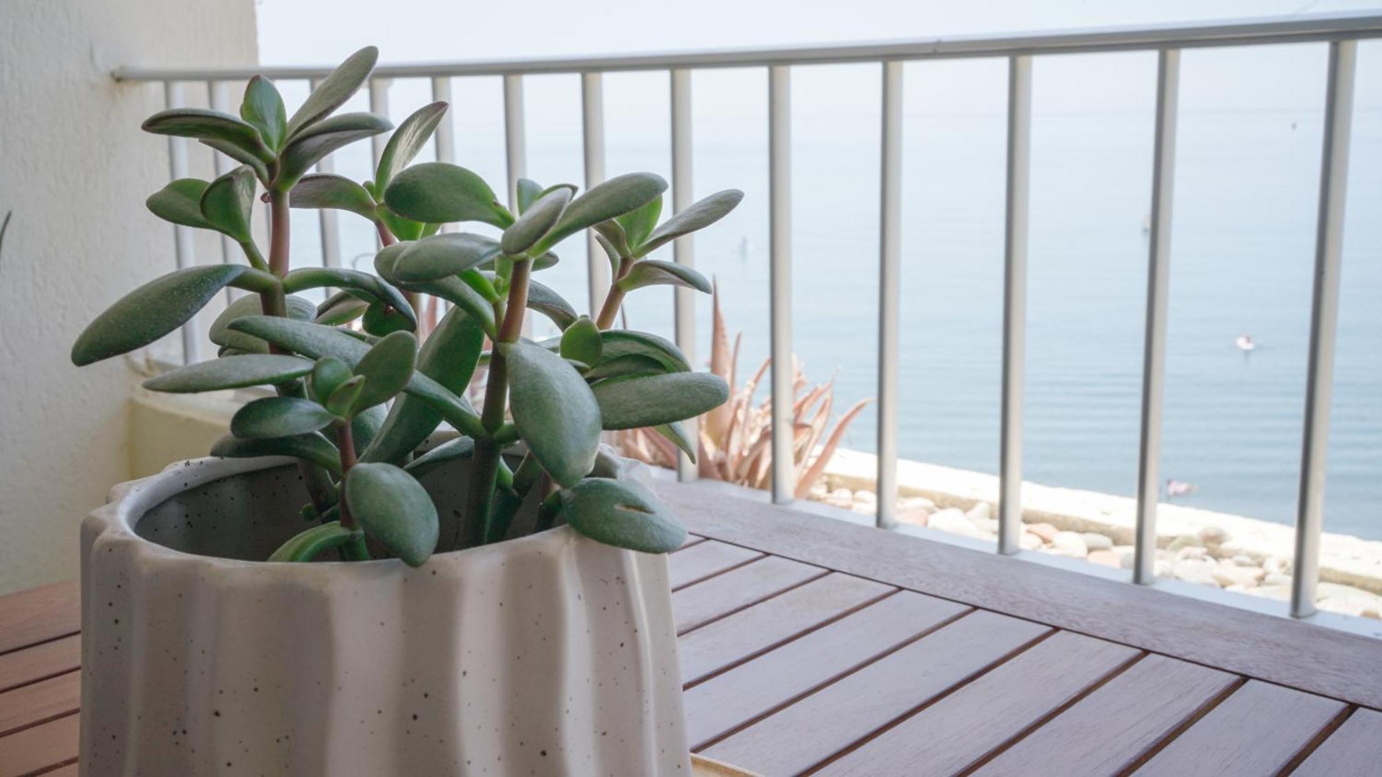 Apartamento Brisa Del Mar Almuñécar Εξωτερικό φωτογραφία
