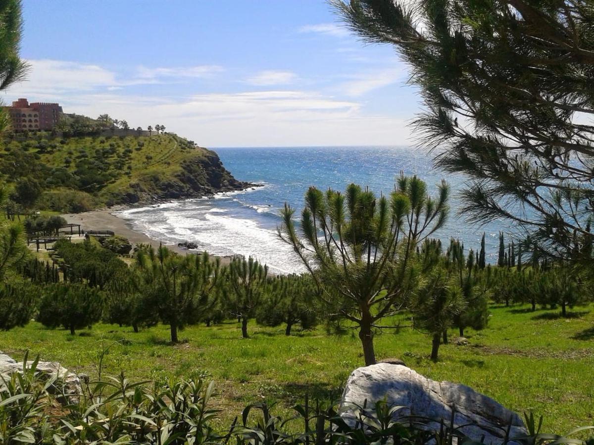 Apartamento Brisa Del Mar Almuñécar Εξωτερικό φωτογραφία